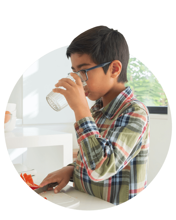 Give Your Family the Best Air and Water Quality